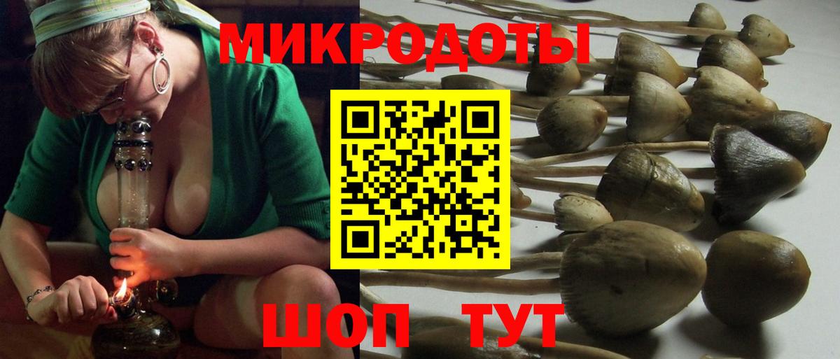 Галлюциногенные грибы прущие грибы Елец