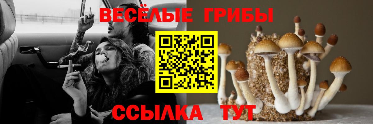 Псилоцибиновые грибы ЛСД  Галлюциногенные грибы MAGIC MUSHROOMS  Елец  цены   Вход с VPN 